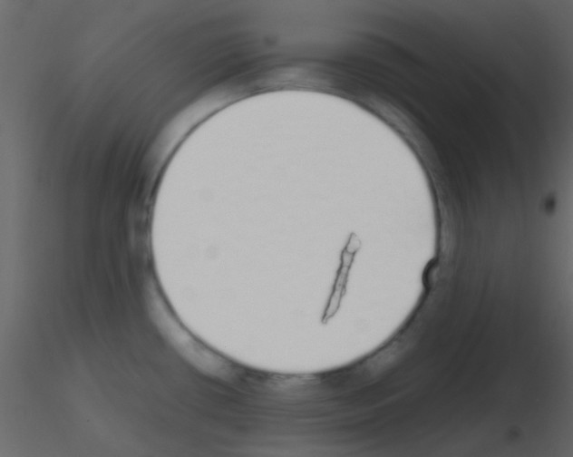 X0000115741434200912241638