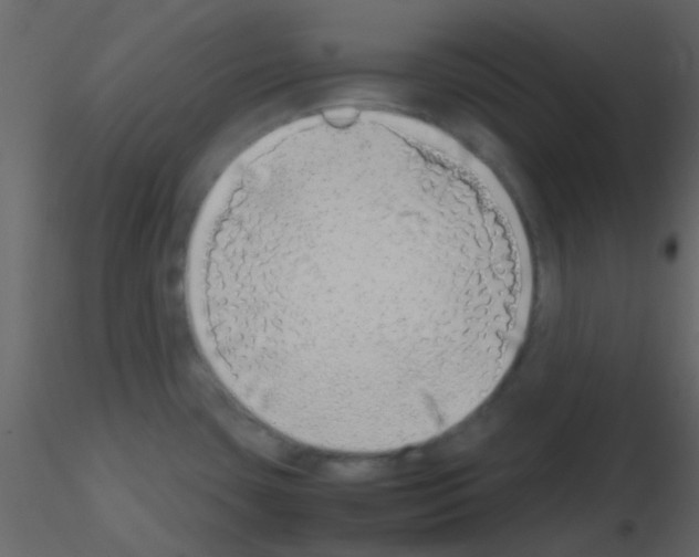 X0000115741435200912241638