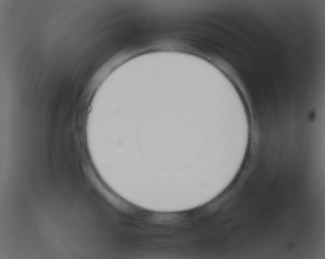 X0000115741437200912241638