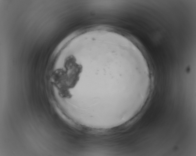 X0000115741438200912241638