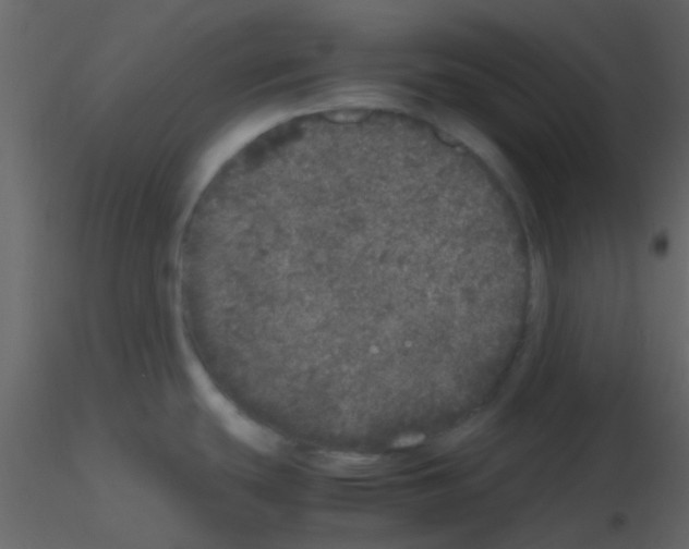 X0000115741439200912241638