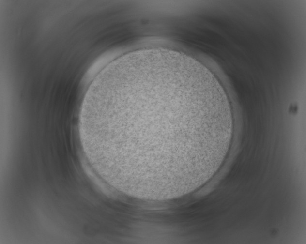 X0000115741440200912241638