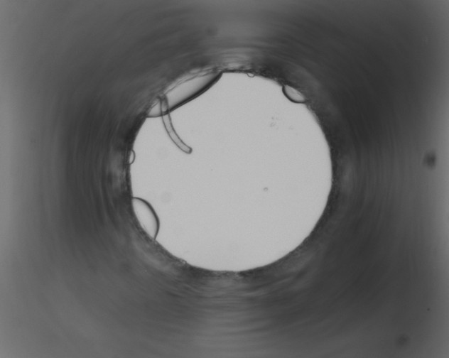 X0000115741442200912241637