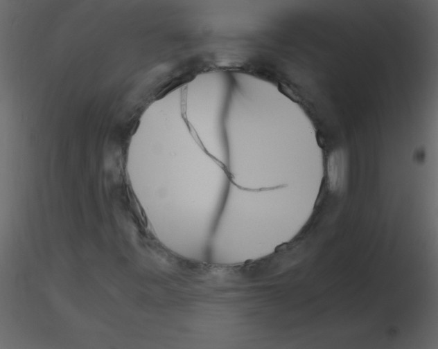 X0000115741443200912241637