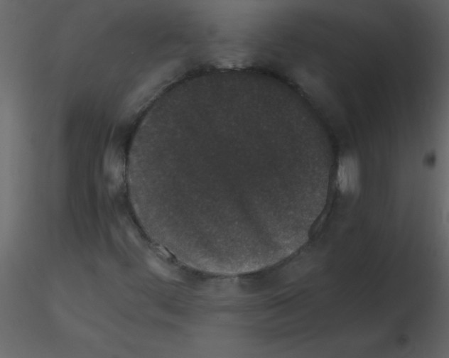 X0000115741444200912241637