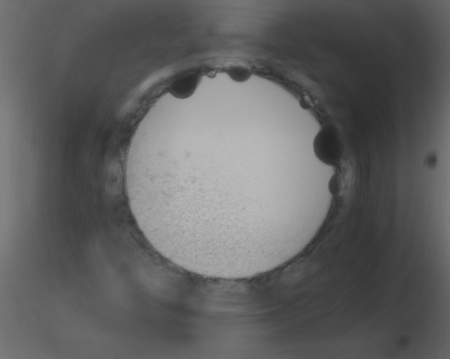 X0000115741446200912241637