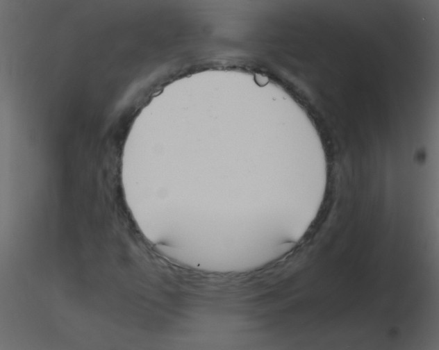 X0000115741447200912241637