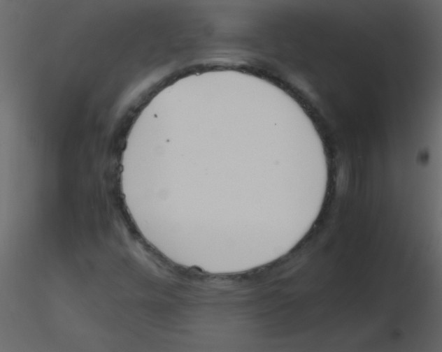 X0000115741448200912241637