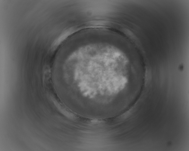 X0000115741449200912241637