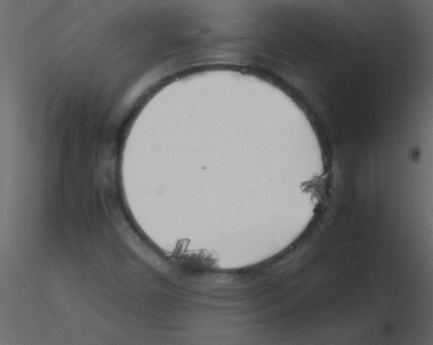 X0000115741450200912241637