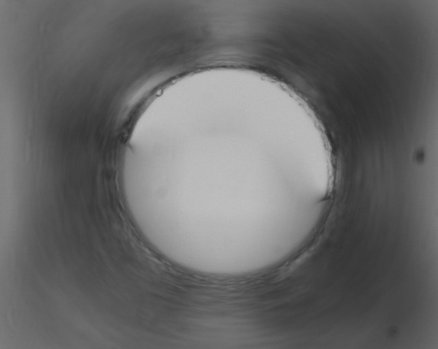 X0000115741453200912241637