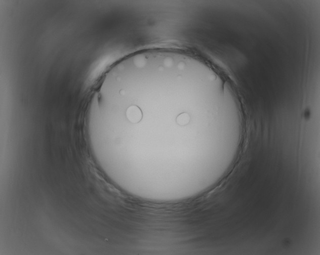 X0000115741455200912241637