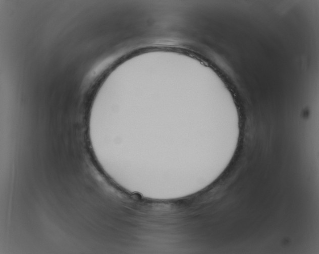 X0000115741456200912241637