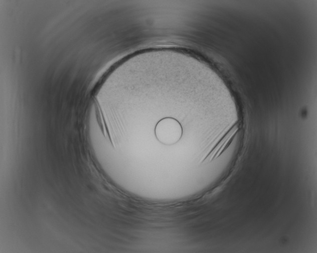 X0000115741457200912241637