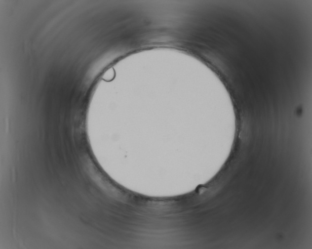 X0000115741458200912241637