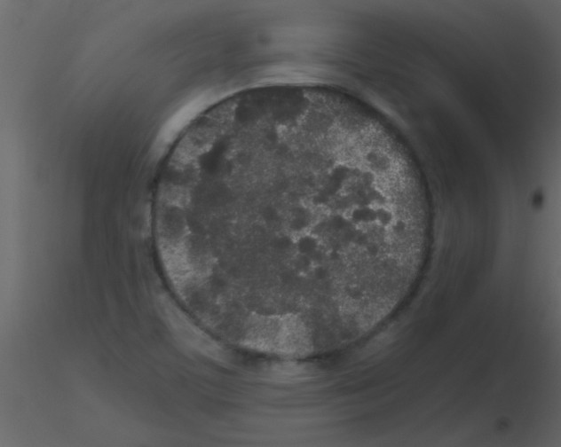 X0000115741459200912241637