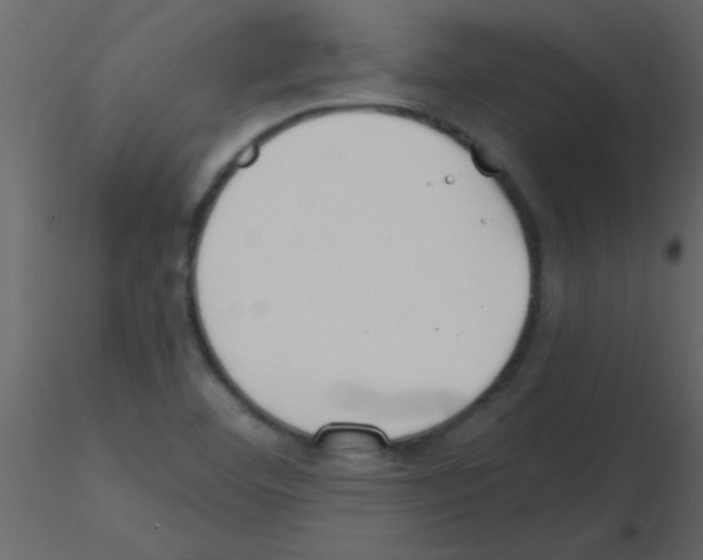 X0000115741460200912241637