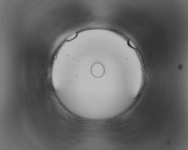 X0000115741461200912241637