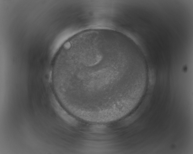 X0000115741462200912241637