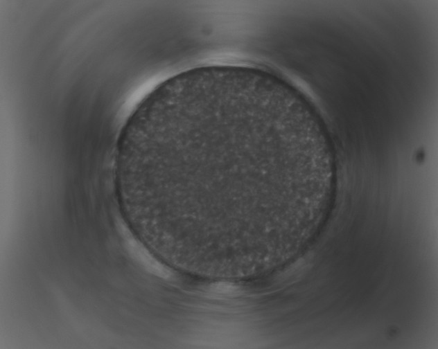 X0000115741463200912241637