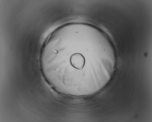 X0000115741464200912241637