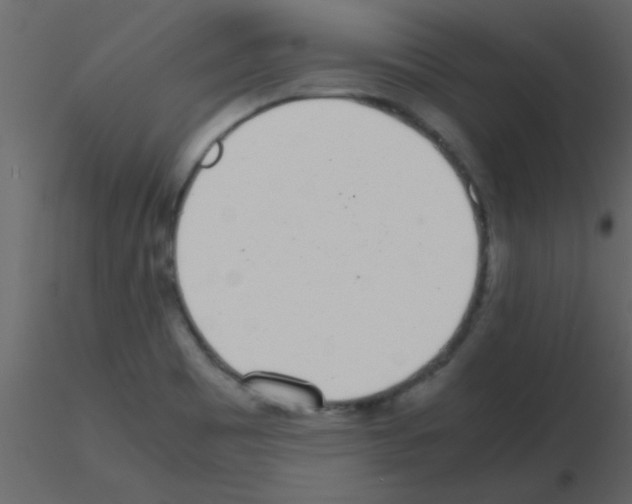 X0000115741465200912241637