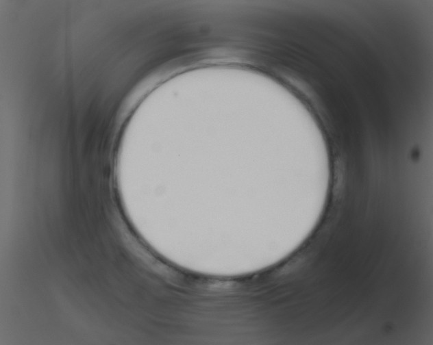 X0000115741467200912241637