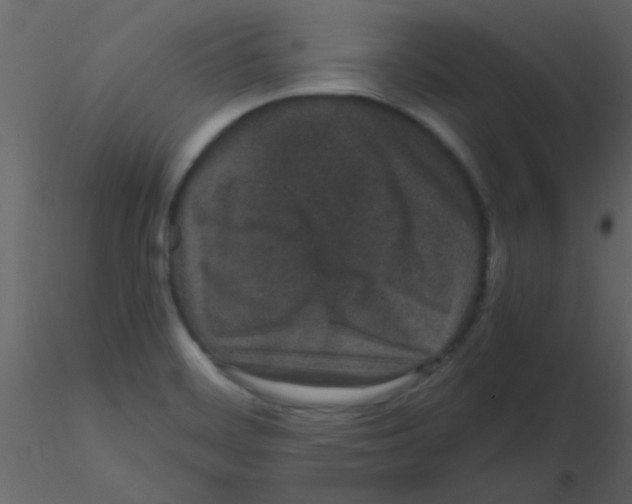 X0000115741468200912241637