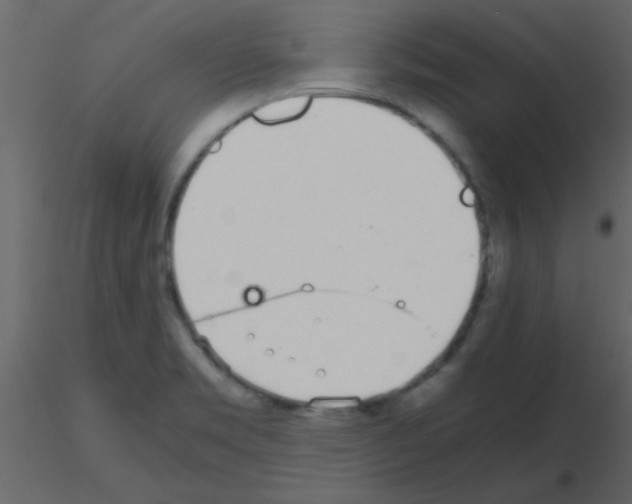 X0000115741469200912241637