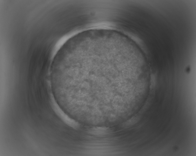 X0000115741470200912241637