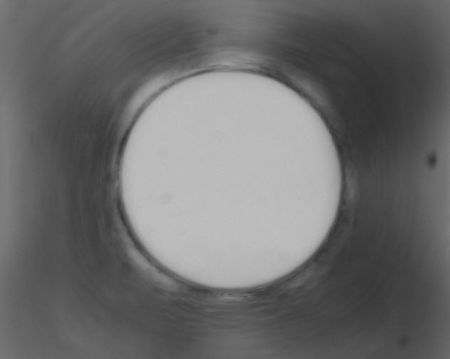 X0000115741471200912241637