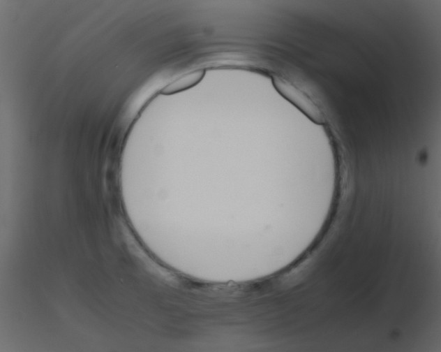 X0000115741473200912241637