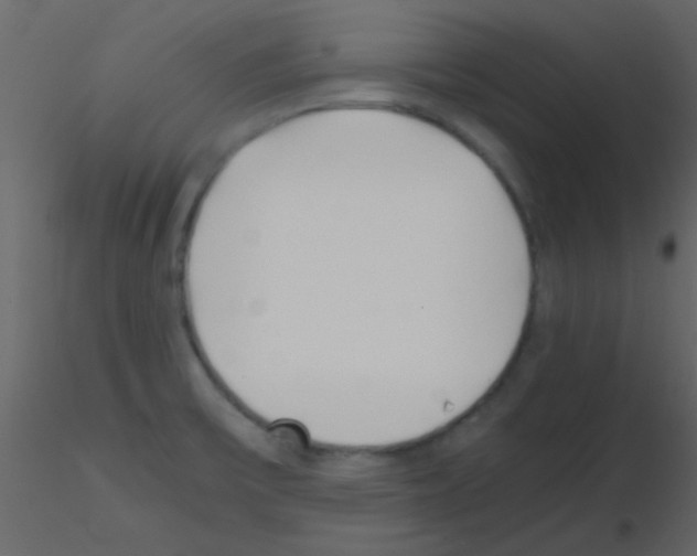 X0000115741475200912241637