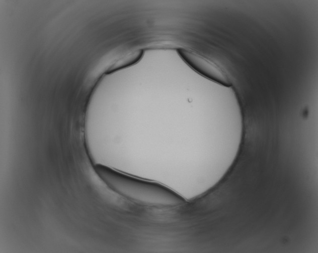 X0000115741476200912241637