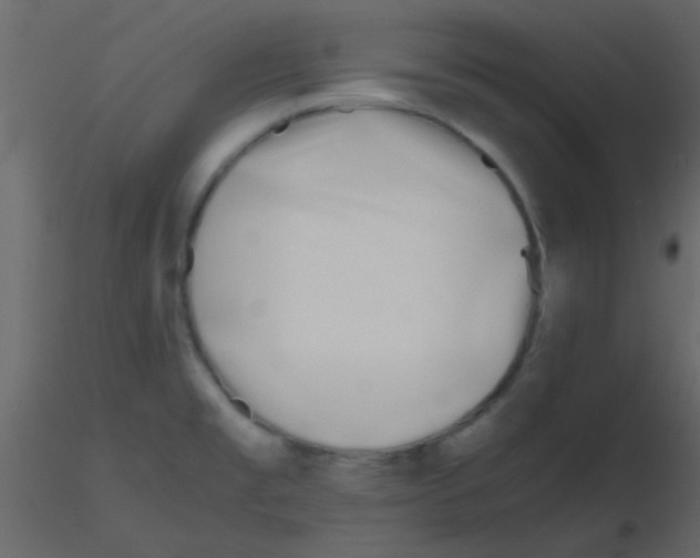 X0000115741477200912241637