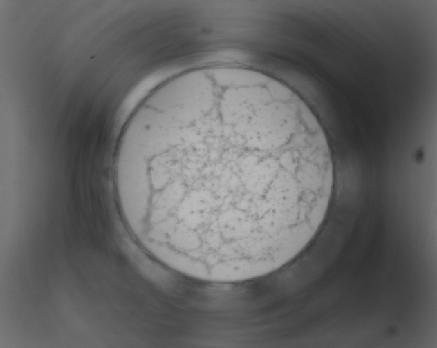 X0000115741478200912241637