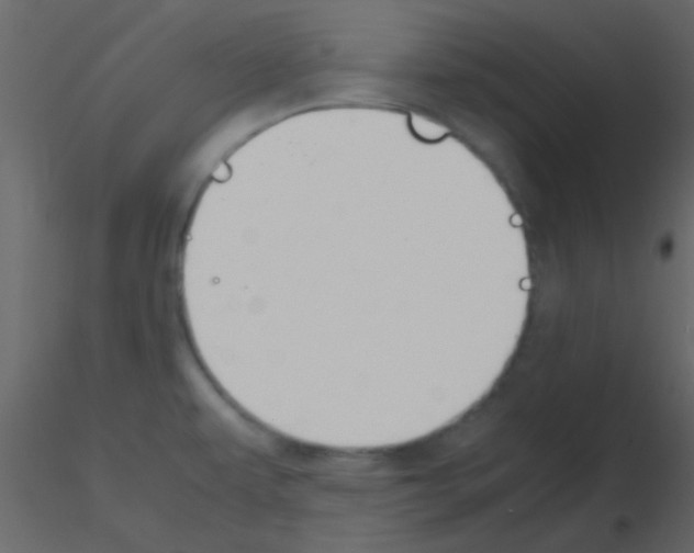 X0000115741479200912241637