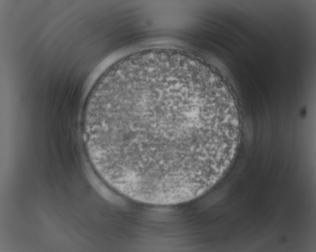 X0000115741482200912241637