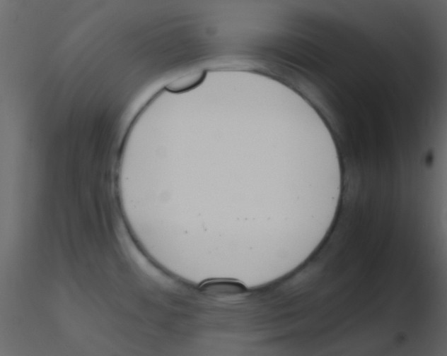 X0000115741484200912241637