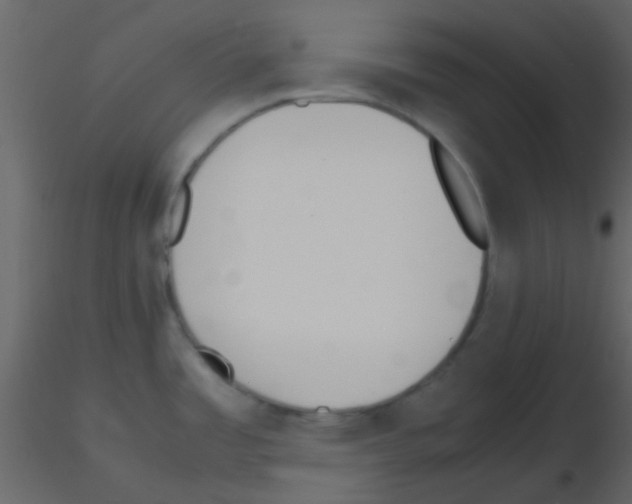 X0000115741485200912241637