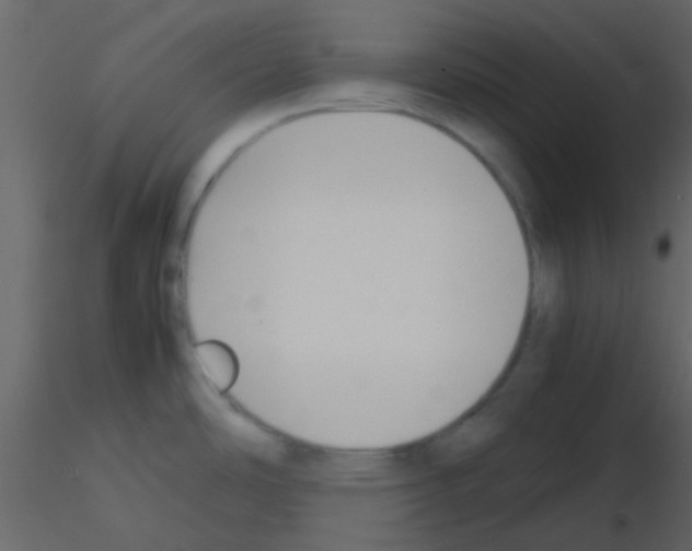 X0000115741486200912241637