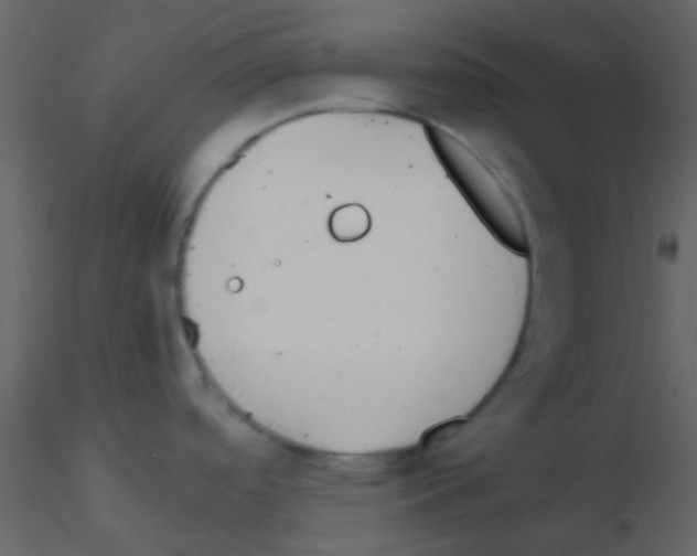 X0000115741488200912241637