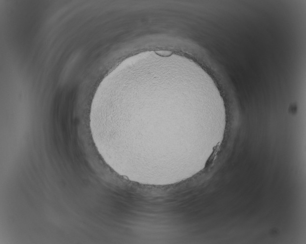 X0000115741489200912241636