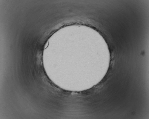 X0000115741490200912241636