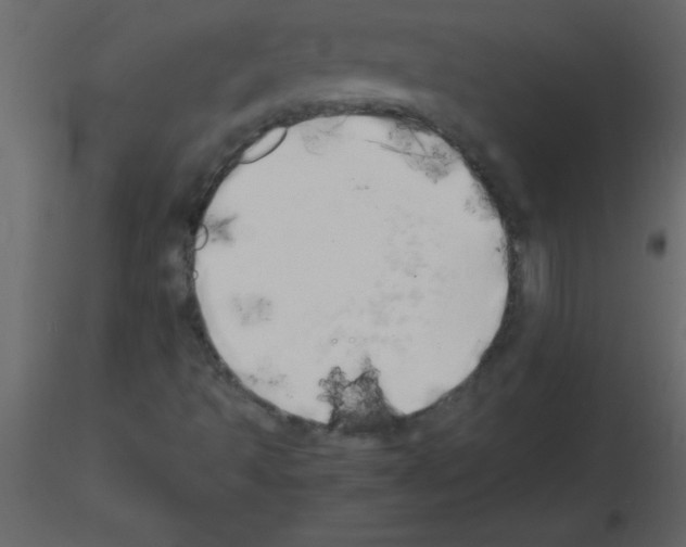 X0000115741493200912241636