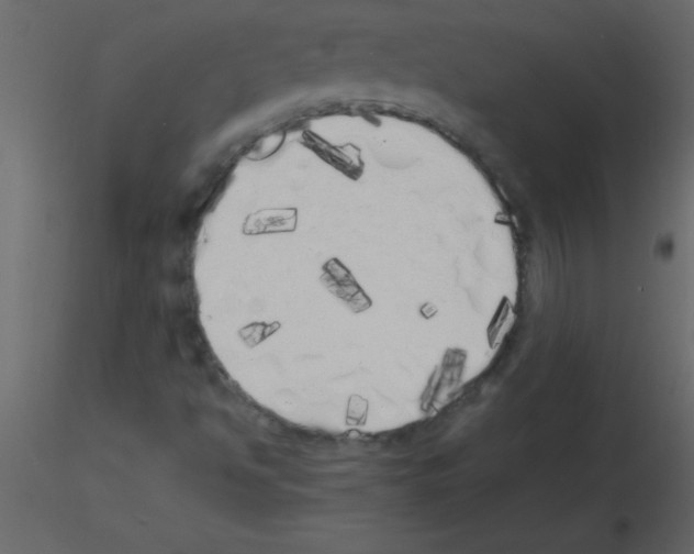 X0000115741494200912241636