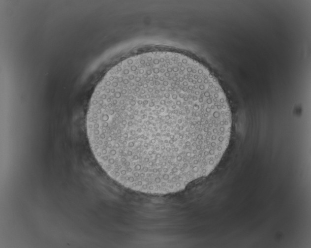 X0000115741495200912241636