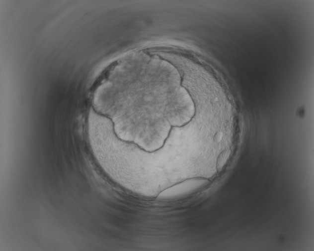 X0000115741497200912241636