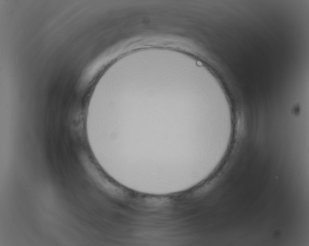 X0000115741498200912241636