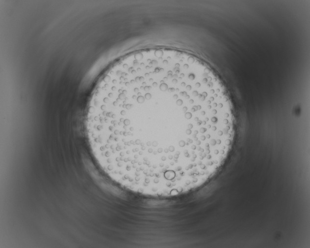 X0000115741499200912241636